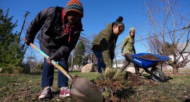 A sequoia forest in Detroit? Plantings to improve air quality and mark Earth Day