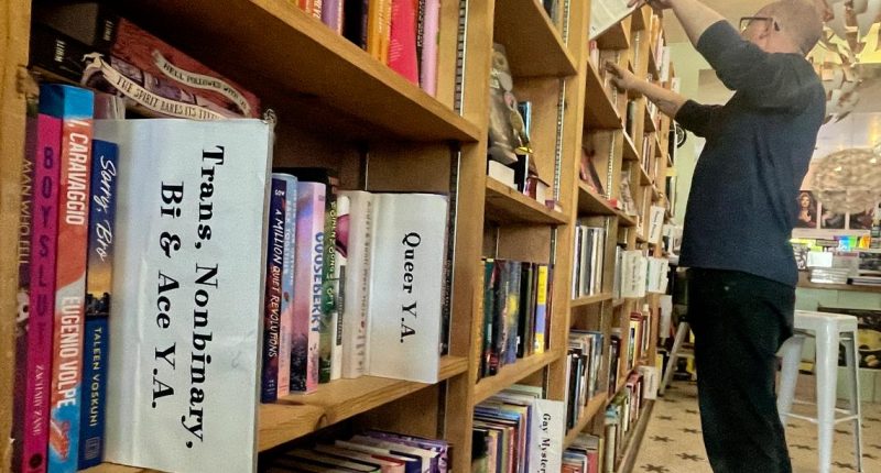 ALA reveals 10 most challenged books of 2024; 'All Boys Aren't Blue' tops list