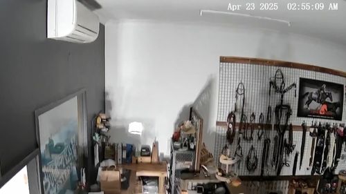 CCTV vision from the Hunter region caught the effects of Wednesday's early-morning 4.6 magnitude earthquake.