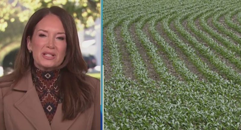 Ag secretary: White House plan could help farmers hurt by tariffs