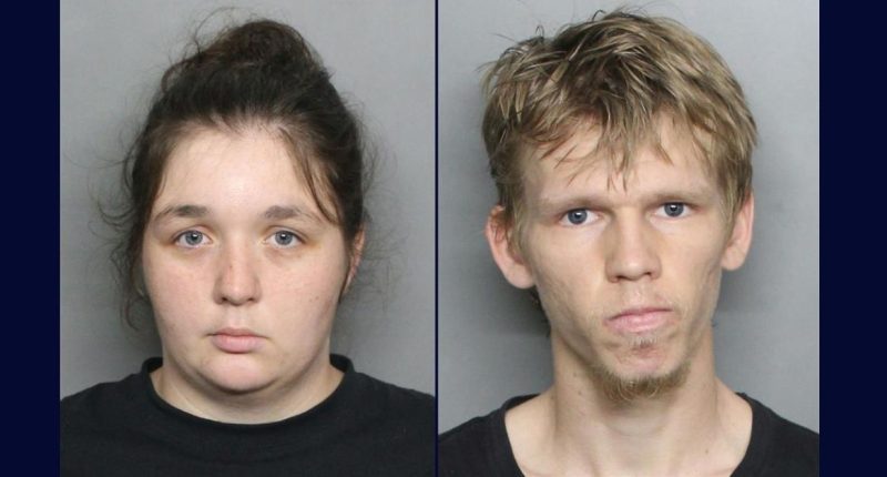 Alleged internet searches lead to jail for infant's injury