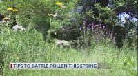 Allergy nightmare: Georgia sees record breaking pollen counts