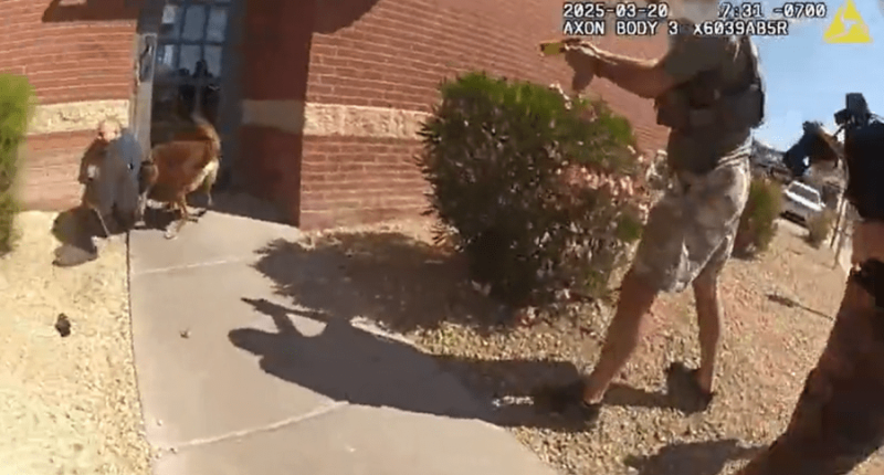 Arizona man accused of driving into police station twice