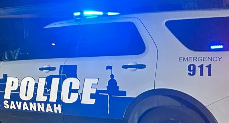 Arrest made in auto theft incident: Savannah Police
