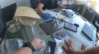 Arrest of Queensland man leads to rescue of seven children