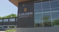 Augusta National's efforts with Golden Harvest to reach 24 counties