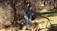 Bears spotted in Colorado community after emerging from hibernation