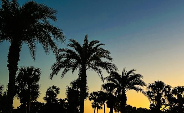 Beautiful Easter weekend in Central Florida paves way toward growing fire dangers