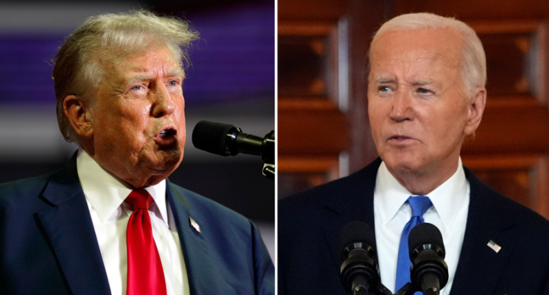Biden believes he would've beaten Trump in election: Author