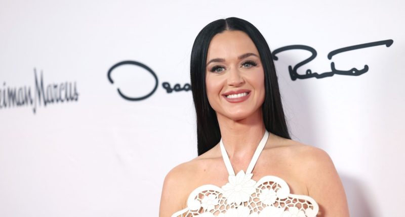 Blue Origin Flight 'a Dream' for Katy Perry Despite Backlash (EXCL)