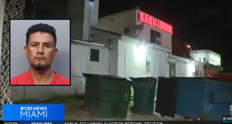 Body found beaten to death in freezer outside bar: Cops