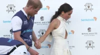Boss of Charity Prince Harry Quit Reveals What the Duke Asked Her to Do for Meghan and How He Reacted When She Refused