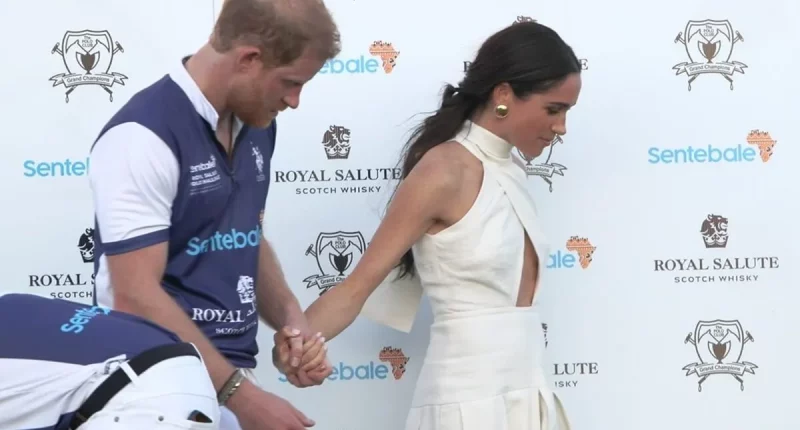 Boss of Charity Prince Harry Quit Reveals What the Duke Asked Her to Do for Meghan and How He Reacted When She Refused