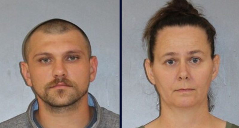 Boy, 4, accidentally shoots self in home with snakes: Cops