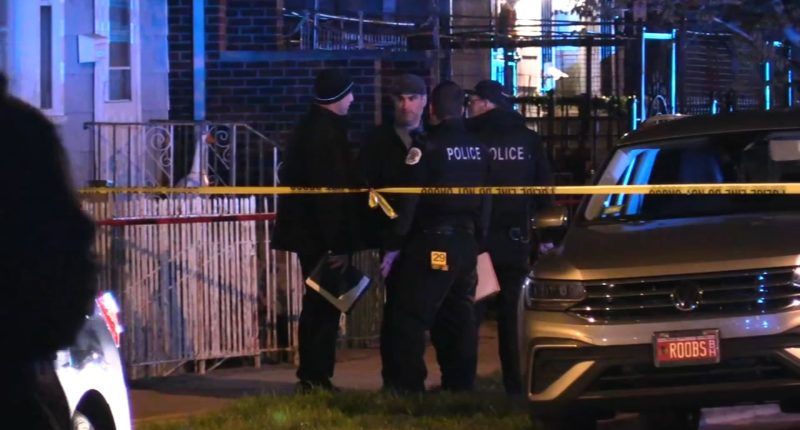 Bridgeport, Chicago shooting: Nicholas Pinto killed in drive-by shooting in 2500-block of South Hillock Avenue, officials say