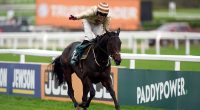 Broadway Boy health update after horse's 'sickening' fall during the Grand National which left jockey with a broken wrist