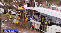 Bus driver seriously injured after crashing into tree on Adelaide's O-Bahn