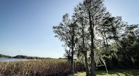 Central Florida set to receive some drought relief via ‘backdoor’ cold front
