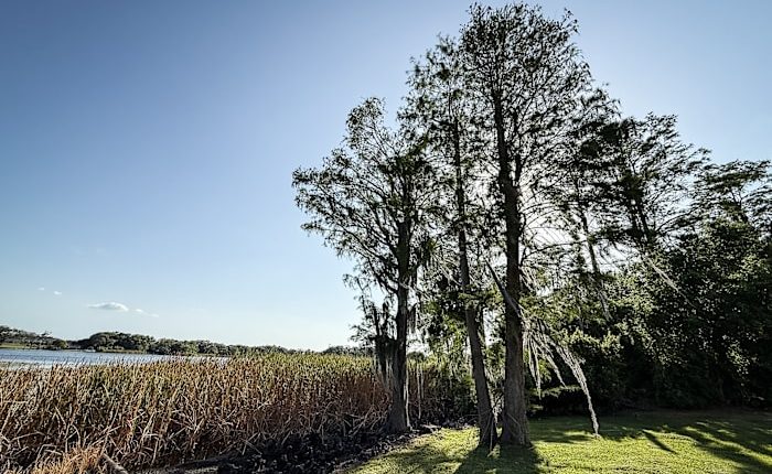 Central Florida set to receive some drought relief via ‘backdoor’ cold front
