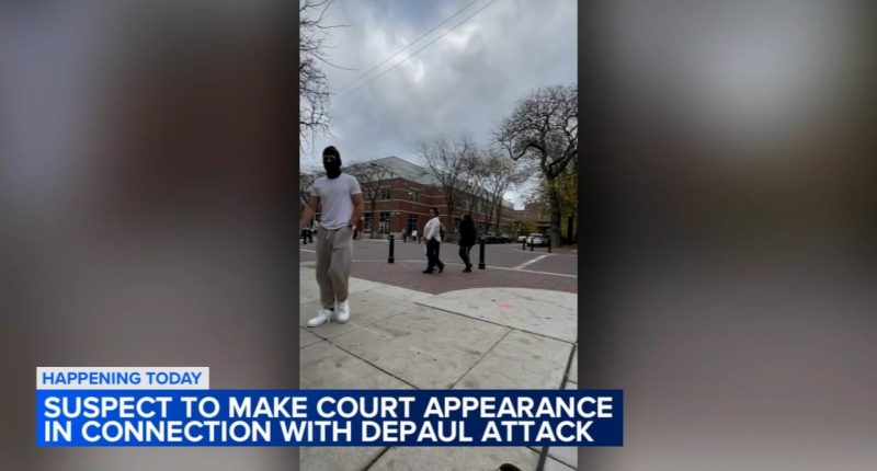 Chicago crime: Adam Erkan due in court on hate crime charges in attack of 2 Jewish DePaul students on Lincoln Park campus