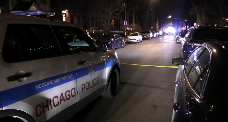 Chicago shooting: Josalyn Fowler charged in shooting Kevin Patel, man killed on Lill Avenue in Lincoln Park: police