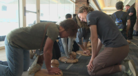 Christie Clinic Illinois Marathon helps hundreds learn Hands-Only CPR
