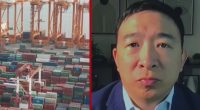 Companies need 'time machine' for tariffs to make sense: Yang