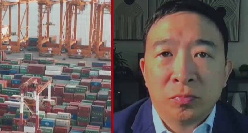 Companies need 'time machine' for tariffs to make sense: Yang