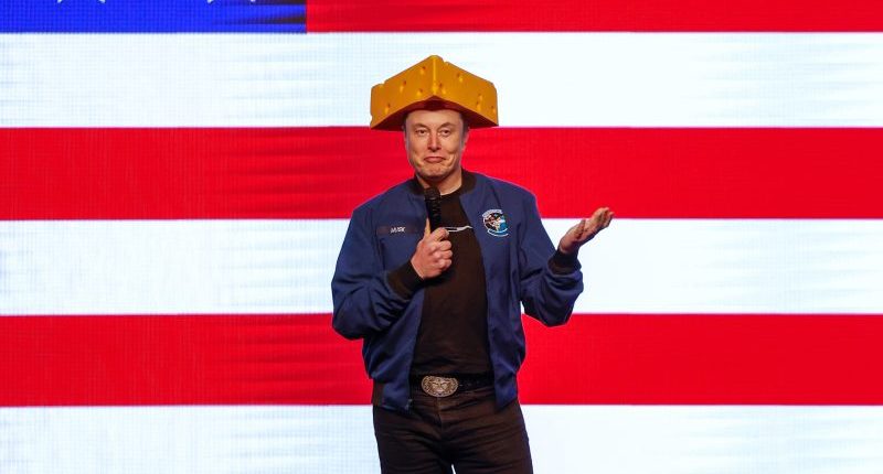 DOGE checks? Elon Musk claims 'progress' has been made, but says it isn't his decision