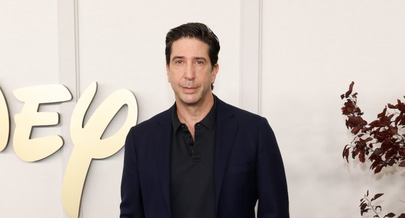 David Schwimmer Couldn't Listen to 'Friends' Theme Song After Show Ended