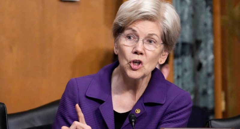 Democrats dislike the 'chaos' of Trump's trade war but are OK with some tariffs