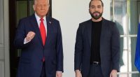 Deported El Salvador man will stay there: Trump assistant