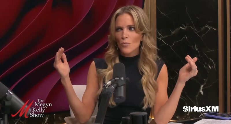 Despite Trump's verbal abuse, Megyn Kelly says she 'fell in love'