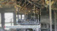 Dog alerts, saves Effingham County family from house fire