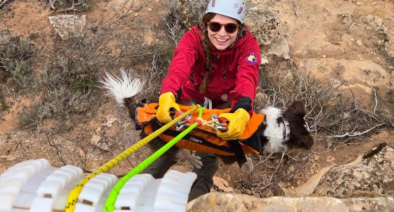 Dog saved after falling over 100 feet at Colorado National Monument