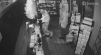 Dramatic footage shows a group of criminals targeting several businesses across 17 suburbs in south-east Queensland. ﻿