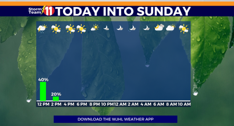 Drying out this afternoon, cooler evening ahead, sunshine expected on Sunday