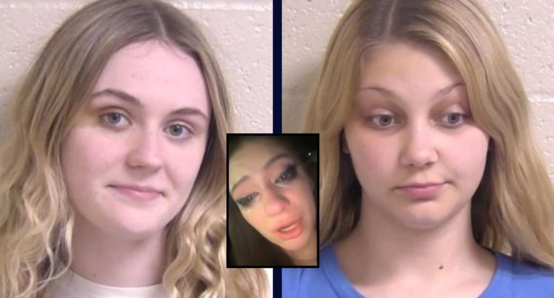 Duo allegedly dragged women into woods where they beat them