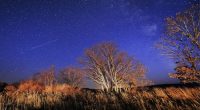 Meteors streak across the night sky during the Orionid meteor shower. Photo by Yuri SmityukTASS via Getty Images