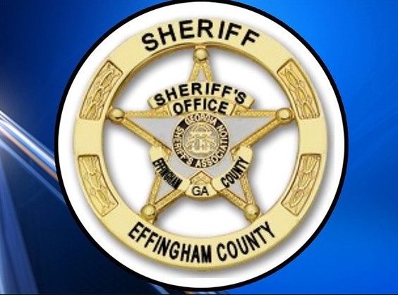 Effingham County offers microchip scans for lost animals