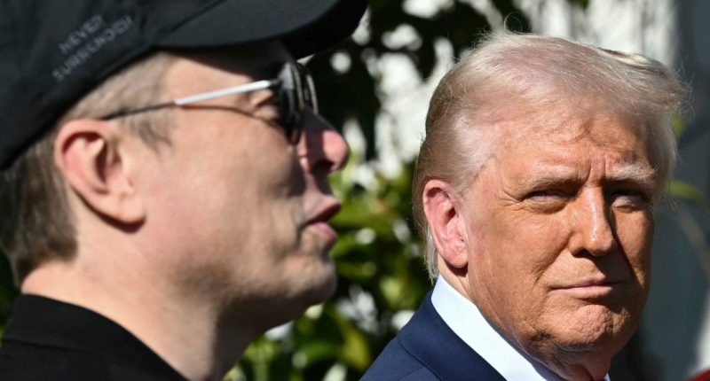 President Donald Trump and Tesla CEO Elon Musk talk with to reporters near Tesla vehicles on the South Lawn of the White House Tuesday, March 11, 2025, in Washington. (Pool via AP)