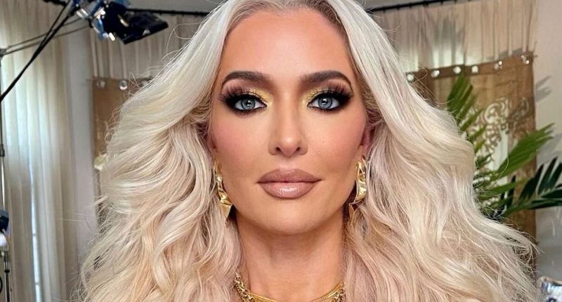 Erika Jayne Faces a "Lot of Stress" over Teddi's Cancer & Lawsuits