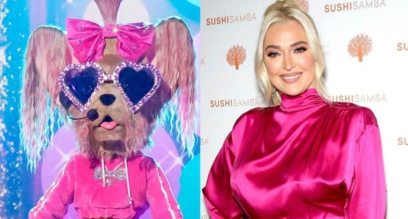 Erika Jayne Revealed as 'The Yorkie' on The Masked Singer, Shades RHOBH