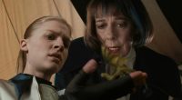 Every Dragon Breed In The Harry Potter Universe Explained
