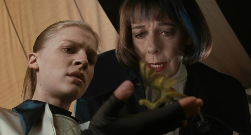 Every Dragon Breed In The Harry Potter Universe Explained