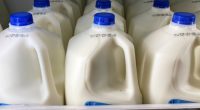 FDA milk quality testing program suspended after job cuts