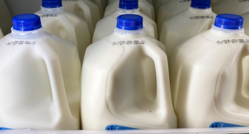FDA milk quality testing program suspended after job cuts