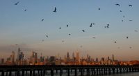 FEMA to revoke $188M in New York City migrant grants