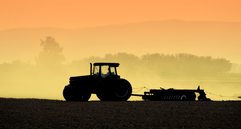 Farmers sound the alarm on US-China trade war