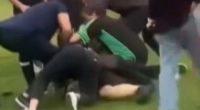 Five people have been charged and an investigation is under way after a brawl broke out at a children's football game in Sydney's south-west.